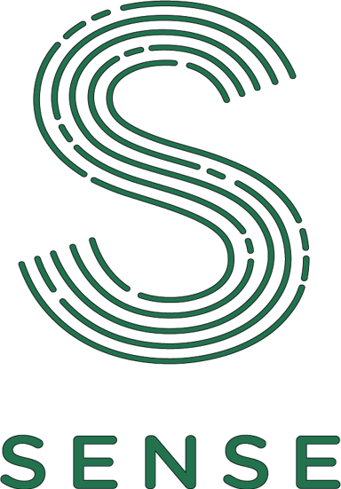 Logo STM